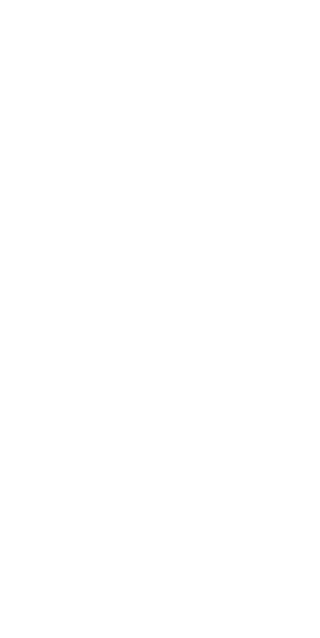 Haulin.ai footer icon